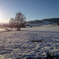 Beichlen Februar 2015