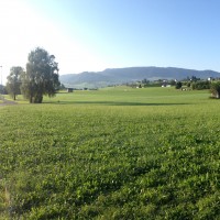 Beichlen August 2015